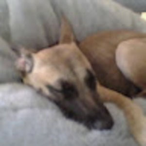 Meet your Posher, Kendall